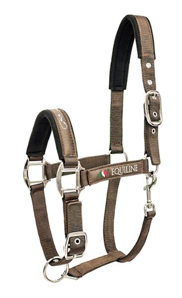 Kantar 3 cappuccino Timmy Equiline