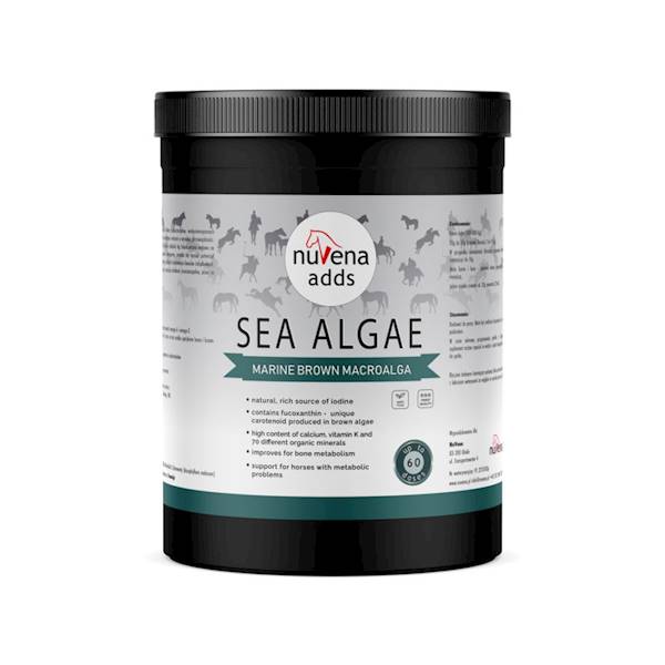 NuVena Sea Algae 900g algi dla koni