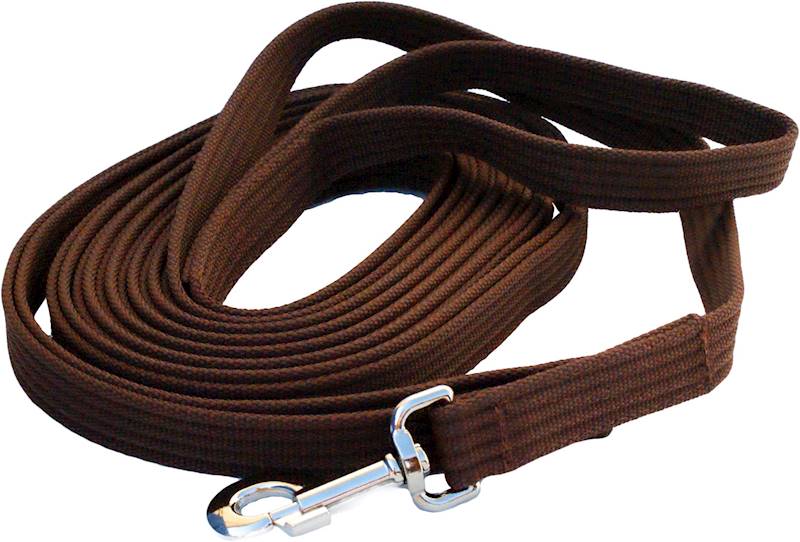 Lonża standard brąz 8 m