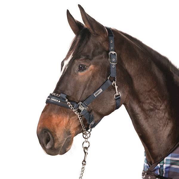 Kantar pony granat Control 
