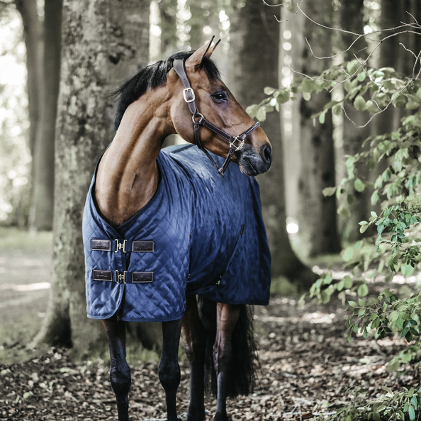 Derka 145 stajenna na futrze granat Kentucky