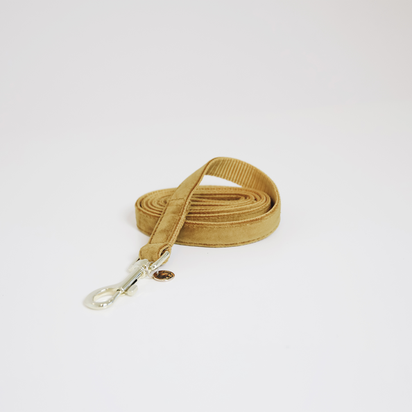 Smycz dla psa 120cm mustard Velvet Kentucky