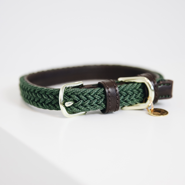Obroża dla psa S olive green nylon Kentucky