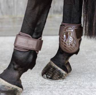 Ochran.Kentucky tył L brąz young horse