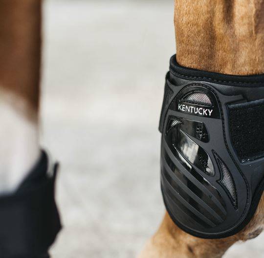 Ochran.Kentucky tył M czarne young horse