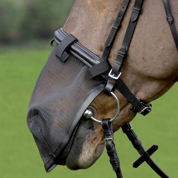 Siatka na nos pony