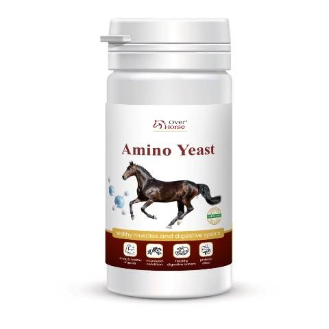 Amino Yeast Over Horse