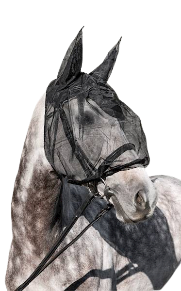 Siatka na głowę S czarna