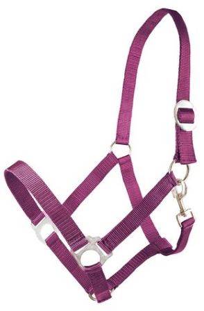 Kantar 3 bordo Basic Canter Club