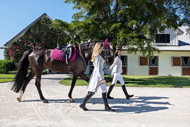 Frak 36 szary Giunig Equiline S23 