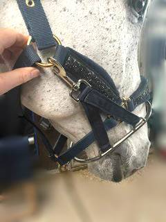 Kolec Stallion ring z karabińczykami