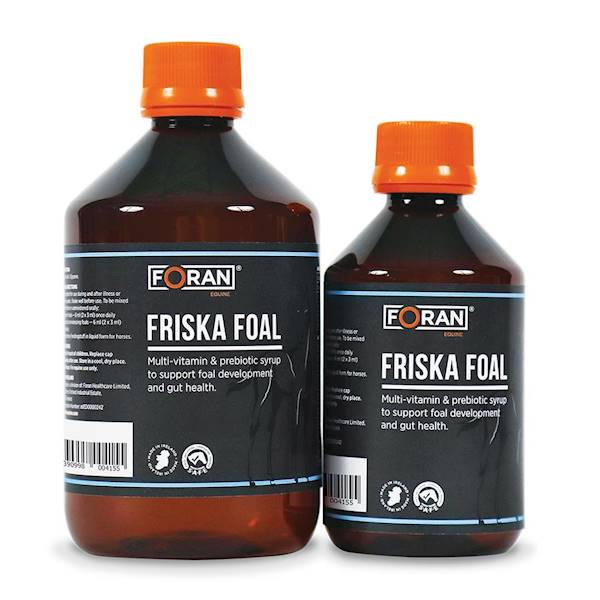 Foran Friska Foal suplement dla źrebiąt 250ml