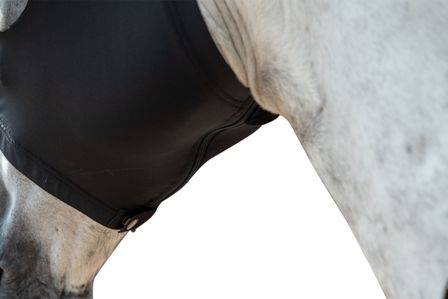 Siatka na głowę XL z uszami Elastic