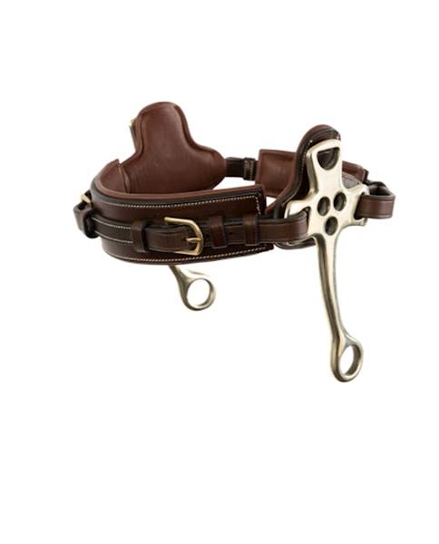 Hackamore cob brąz trust