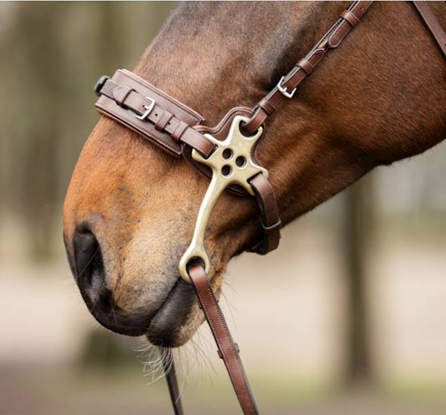 Hackamore cob brąz trust