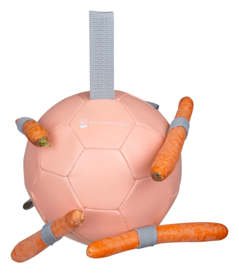 Piłka dla konia Carrotball różowa