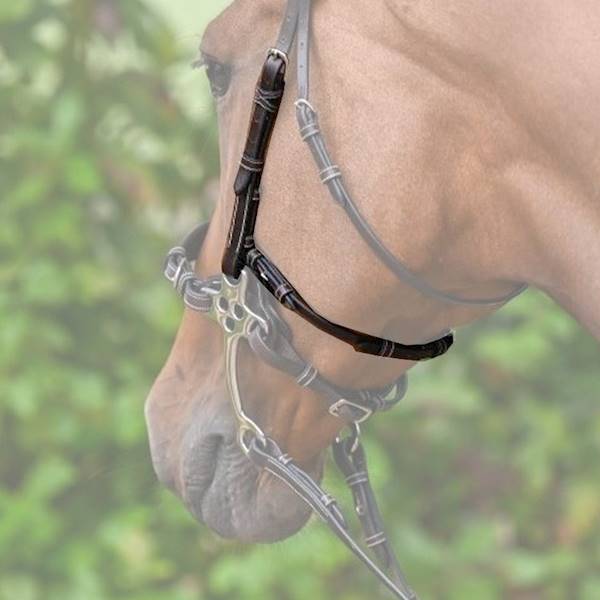 Paski policzkowe do hackamore Jump-in