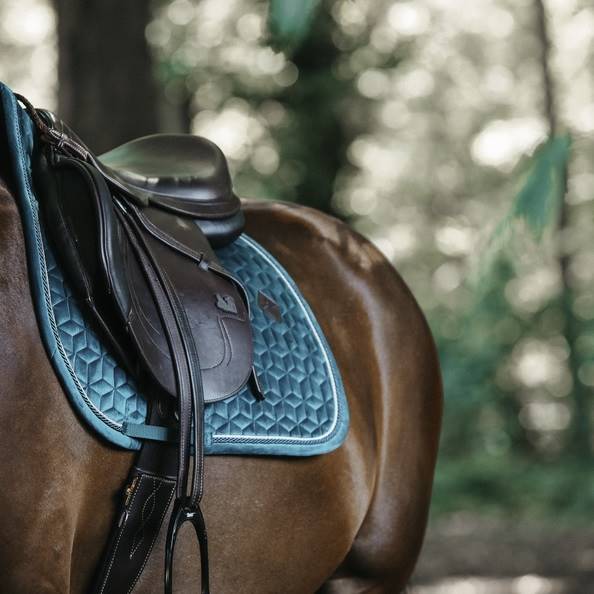 Czaprak vs szmaragdowy cob Velvet Kentucky