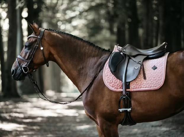 Czaprak pony różowy Velvet Kentucky