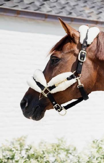 Kantar 3 futro Soft naturalny Kentucky