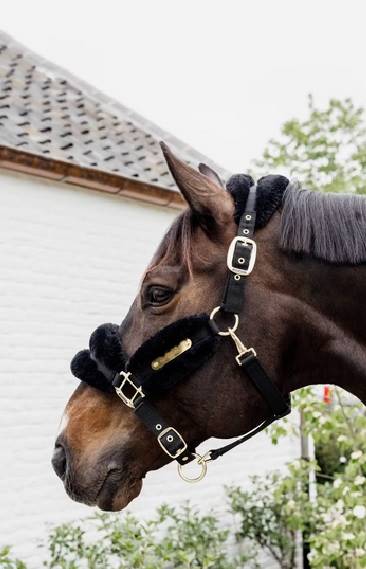Kantar pony futro Soft czarny Kentucky