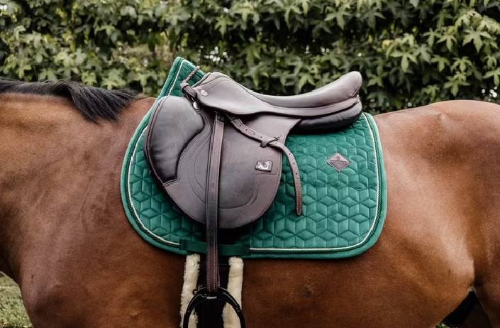 Czaprak vs zielony full Velvet Kentucky