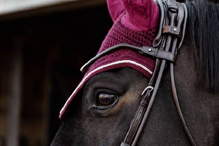 Nauszniki pony bordowe Velvet Wellington Kentucky