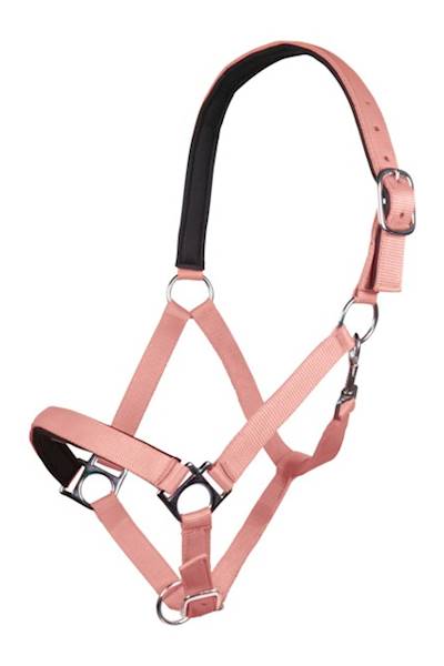 Kantar 3 neon koral Stars Softice