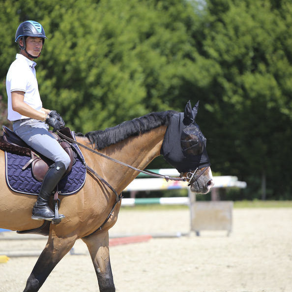 Siatka na głowę pony z uszami maska Kentucky