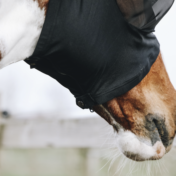 Siatka na głowę pony z uszami maska Kentucky