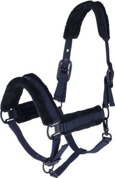 Kantar 2 granat Covalliero W25