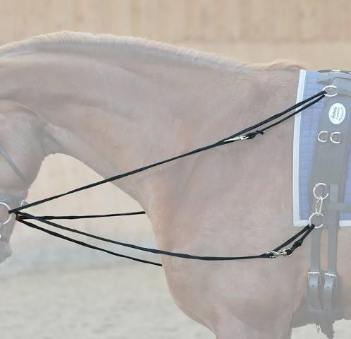 Wypinacz trójkątny podwójny Philipe Easy Kavalkade