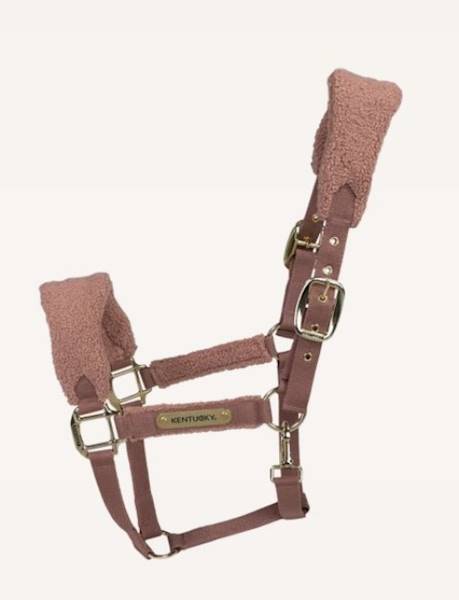 Kantar 3 róż Teddy Kentucky