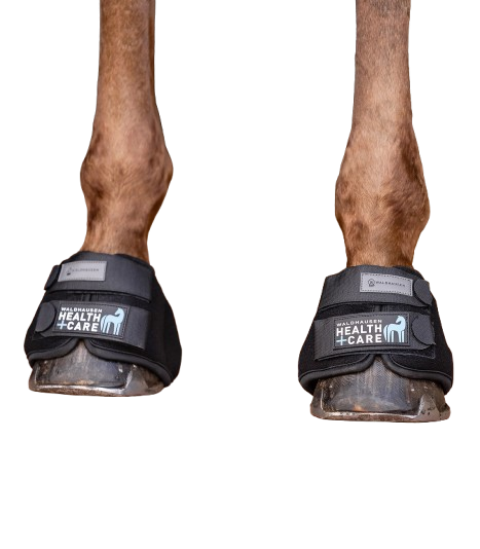 Kalosze chłodzące W-Health L Waldhausen