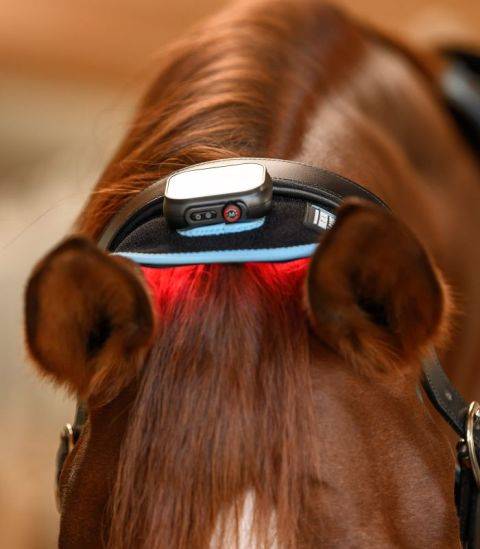 Okład z podczerwienią W-Health Waldhausen