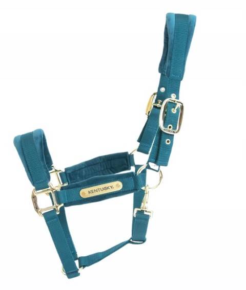 Kantar 2 szmaragd Velvet Kentucky