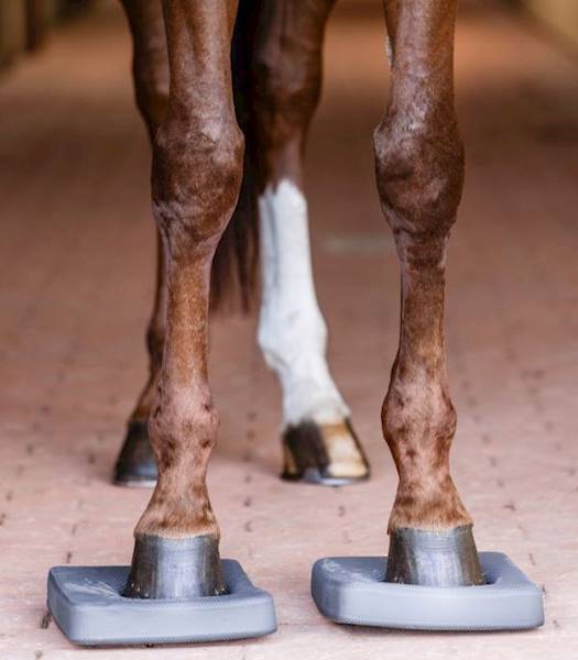 Podkłady do ćwiczeń równowagi W-Health Waldhausen