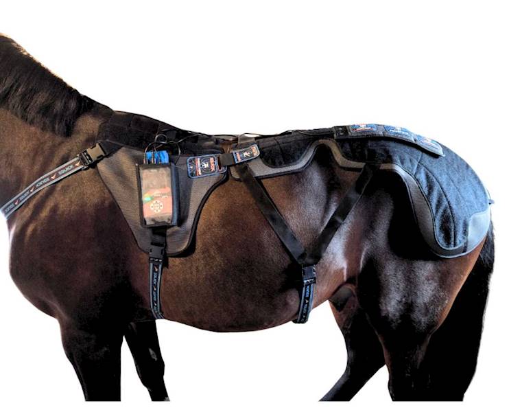 Derka magnetyczna Thera PEMF eQuick