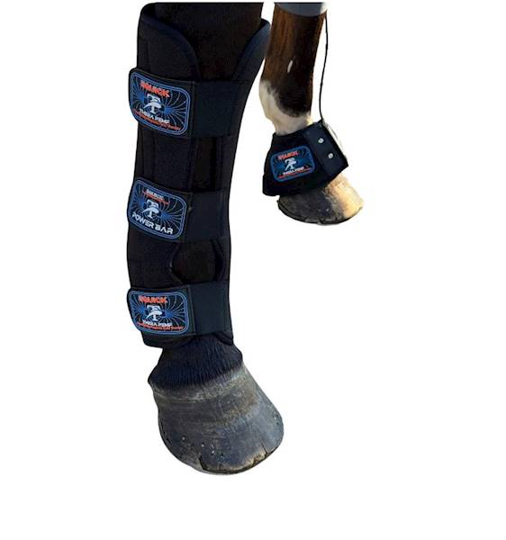 Derka magnetyczna Thera PEMF eQuick