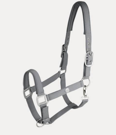 Kantar 2 szary Trinidad Waldhausen S26