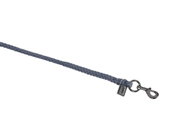 Uwiąz zwykły Eskadron P26
