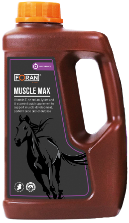 Foran Muscle-Max 2,5L mięśnie