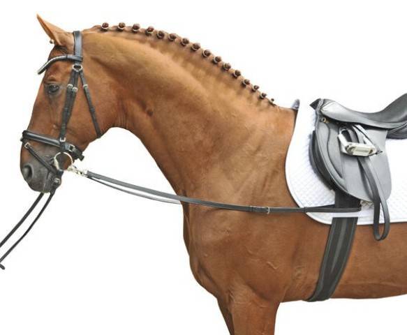 Wypinacze skórzane pony czarne HKM