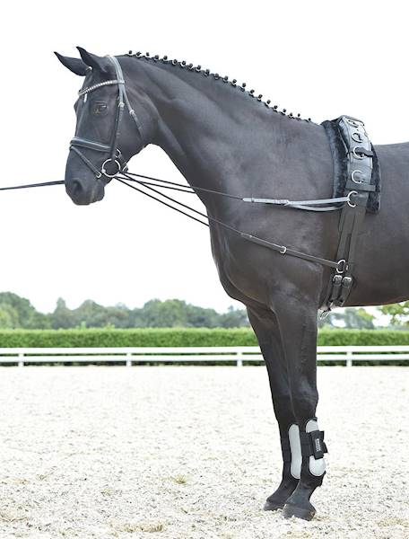 Czarna wodza full BASIC-KORDEL