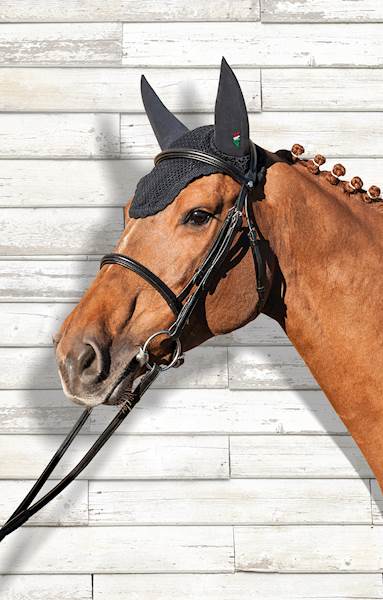 Nauszniki wyciszające pony granat Ned Equiline