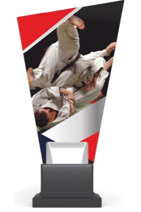 CG02/judo wys. 26 cm