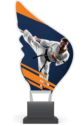 plexi CP01 karate wys. 21 cm