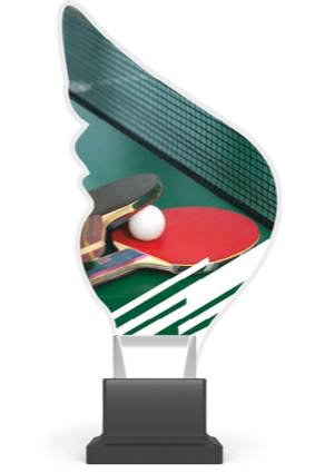 plexi CP01 tenis stołowy wys. 21 cm