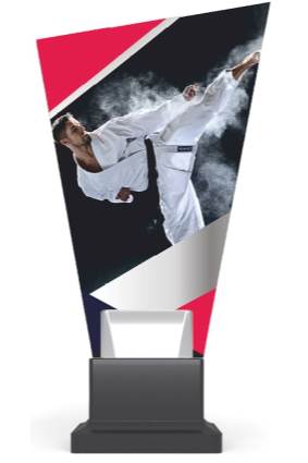 CG02/karate wys. 26 cm
