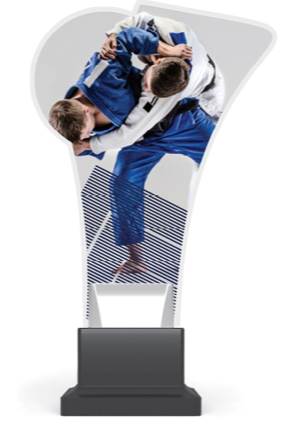 plexi CP02 judo wys. 20 cm